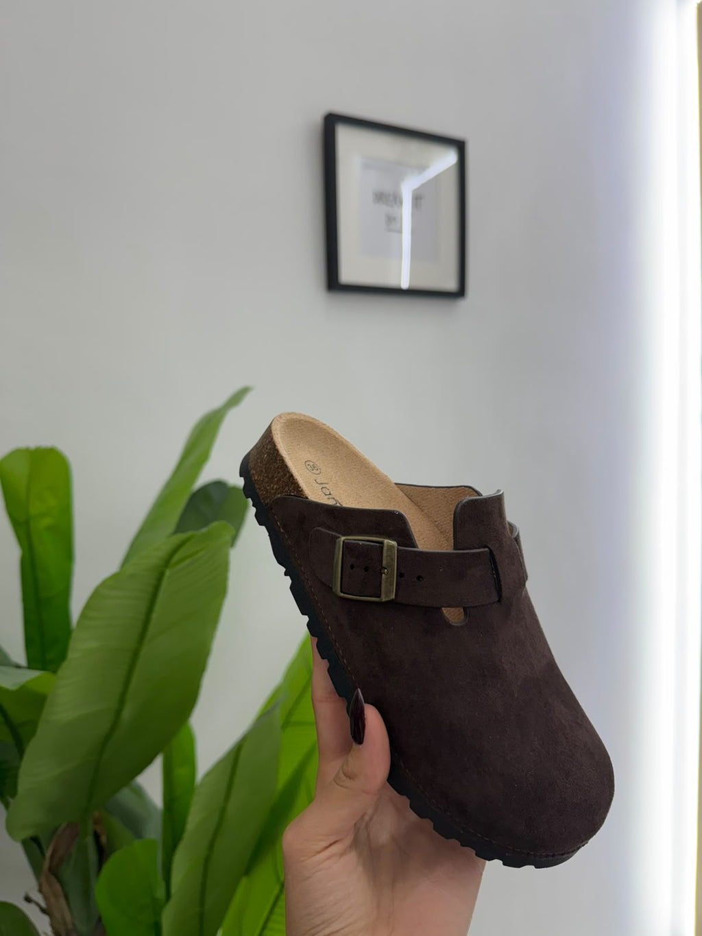 Sabot LA