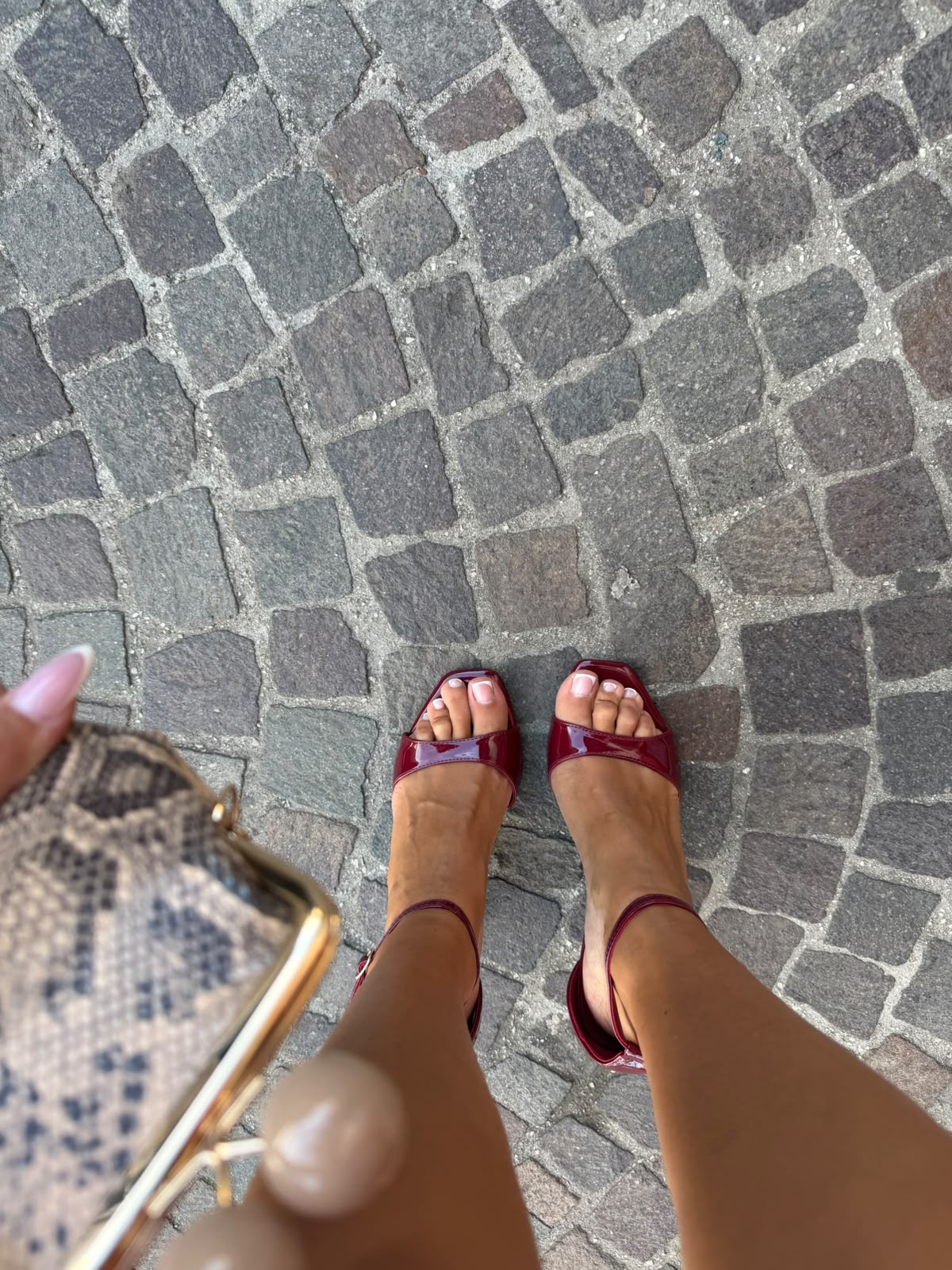 Tacco Melissa