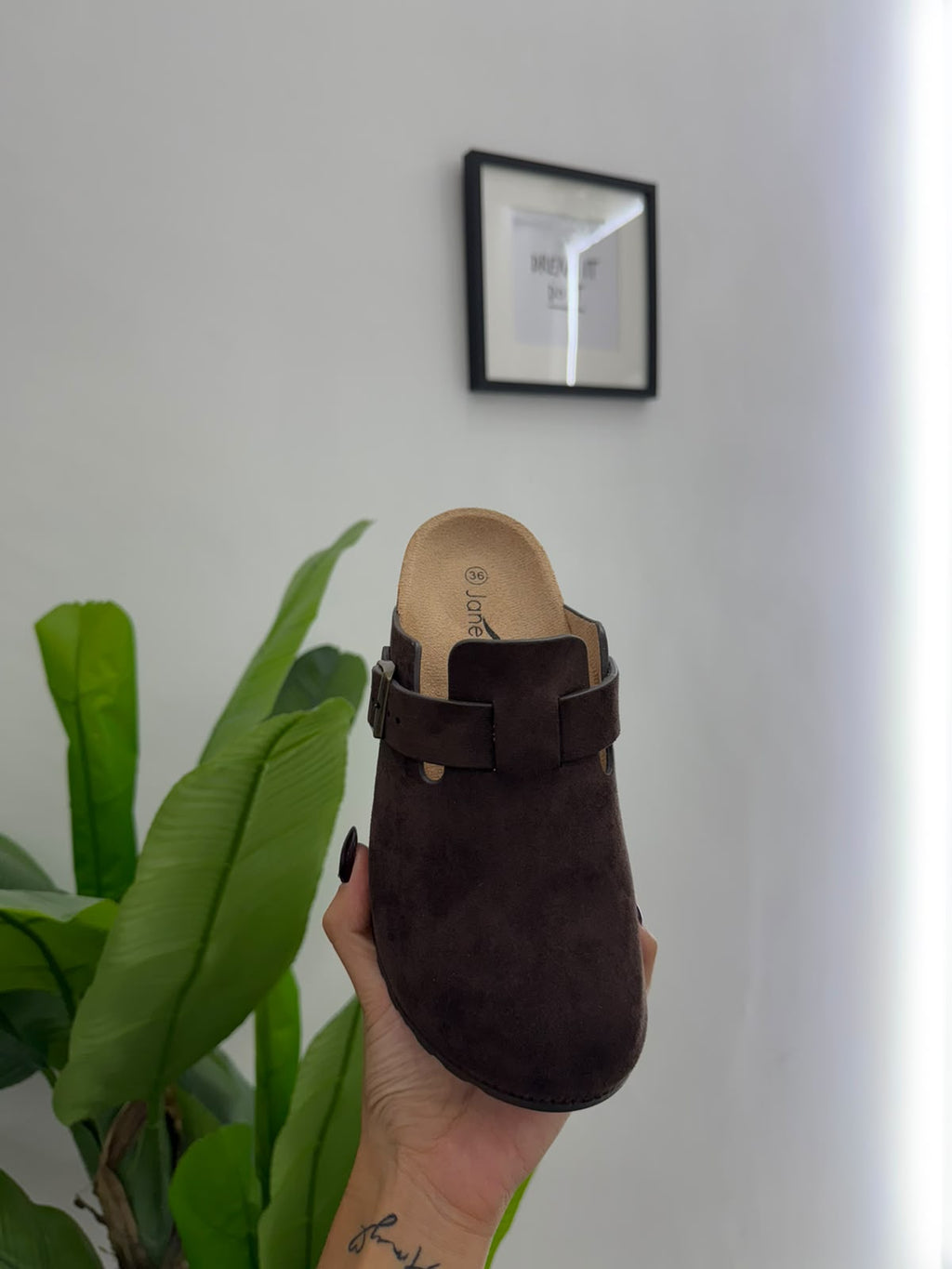 Sabot LA